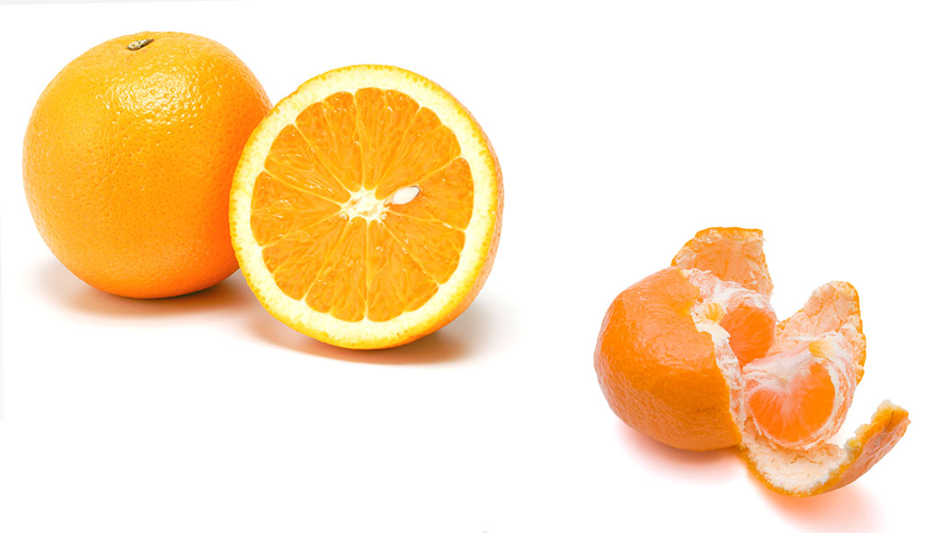 オレンジとみかん比較イメージ画像