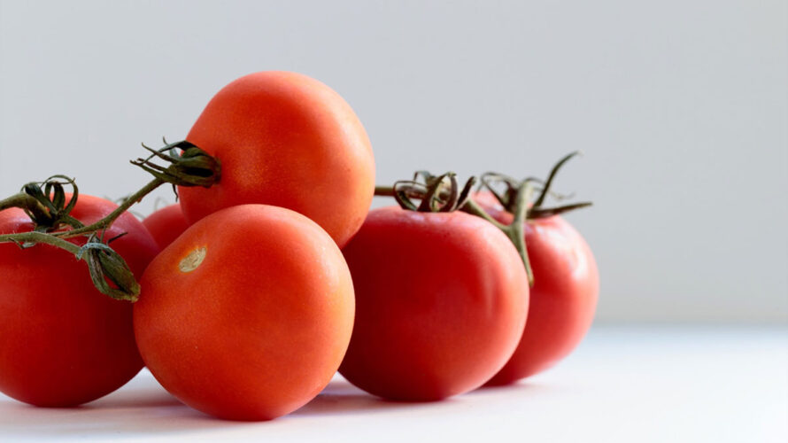 トマトの歴史と由来、普及の歴史の紹介記事イメージ画像